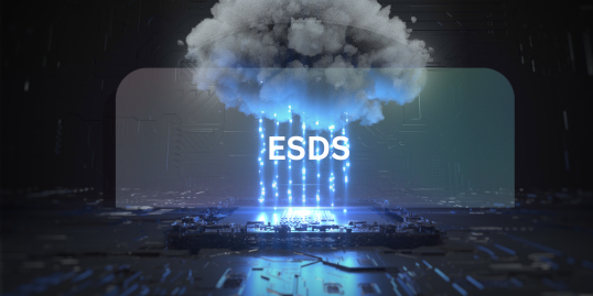 ESDS