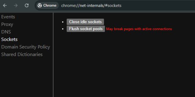 chrome.//net-internals/dns