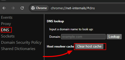Chrome Net Internals DNS - Clear Host Cache