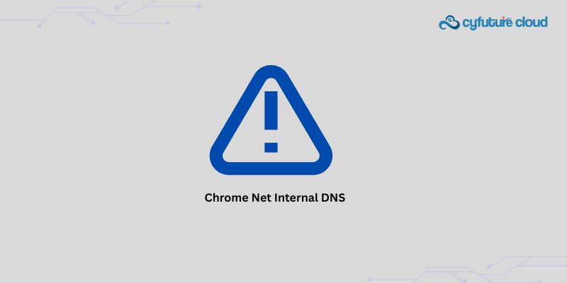 Chrome Net Internal DNS