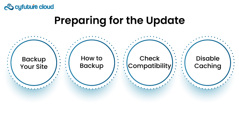 Preparing for WordPress Update