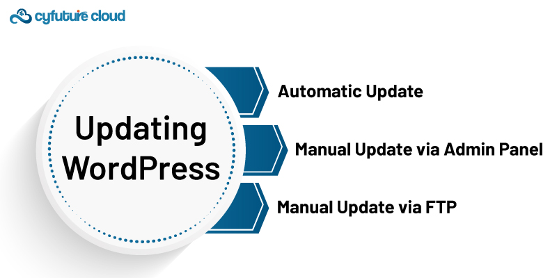 Updating WordPress