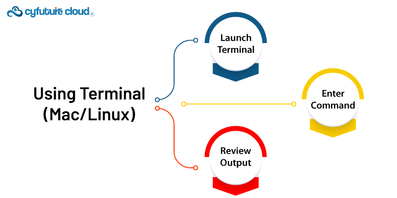 Using Terminal (Mac/Linux)