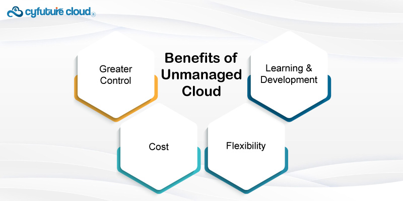 Benefits of Unmanaged Cloud