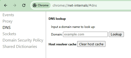 Chrome net Internals Dns