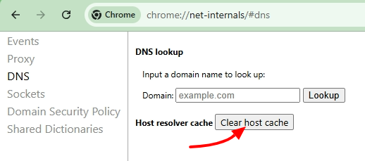 Chrome Net Internals Dns