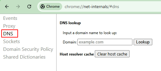 Chrome Net Internals Dns