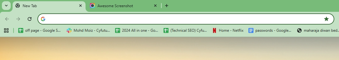 Chrome Net Internals Dns