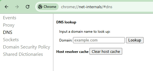 Chrome net Inernals Dns