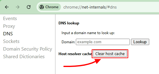 Chrome Net Internals Dns