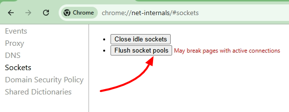 Chrome Net Internals Dns