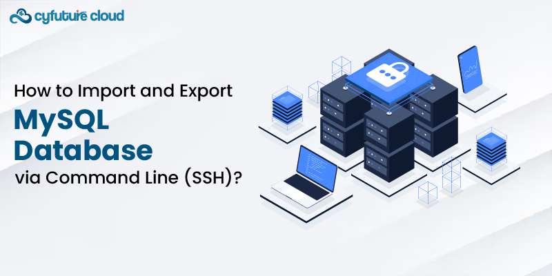 Import and Export MySQL Database 