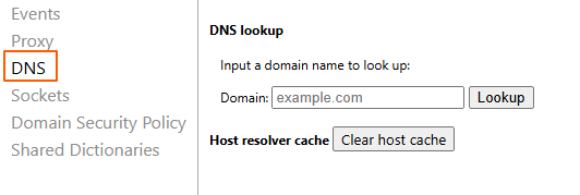 Chrome Internal DNS